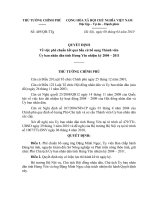 Quyết định số 449 QĐ-TTG - Về việc phê chuẩn kết quả bầu cử bổ sung Thành viên Ủy ban nhân dân tỉnh Hưng Yên nhiệm kỳ 2004 - 2011