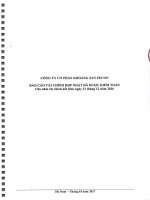 FCM - BCTC hop nhat nam 2016.pdf FCM BCTCHN2016