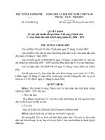 Quyết định số 233 QĐ-TTG - Về việc phê chuẩn kết quả bầu cử bổ sung Thành viên Ủy ban nhân dân tỉnh Kiên Giang nhiệm kỳ 2004 - 2011