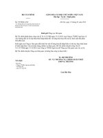 Công văn 787 2013 BTC-CST - Hướng dẫn xử lý nộp thừa thuế nhập khẩu đối với hàng hóa thay đổi mã số, thuế suất khi phân tích phân loại