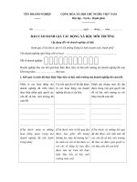 bieu mau bao cao danh gia tac dong xa hoi moi truong cua doanh nghiep xa hoi