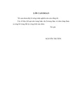 Vận dụng mô hình CAPM trong đo lường rủi ro hệ thống cổ phiếu ngành xây dựng niêm yết trên HOSE.