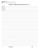 Mẫu sổ chào cờ - Sổ chào cờ mau so chao co