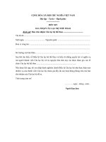 mau don xin gia nhap cau lac bo the thao