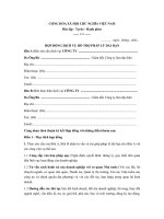 mau hop dong dich vu ho tro phap ly dai han