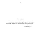 Thúc đẩy xuất khẩu vào thị trường EU của các DN giầy dép trên địa bàn Hà Nội.PDF