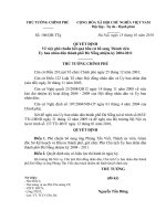 Quyết định số 106 QĐ-TTG - Về việc phê chuẩn kết quả bầu cử bổ sung Thành viên Ủy ban nhân dân thành phố Đà Nẵng nhiệm kỳ 2004 - 2011