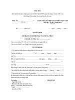 mau quyet dinh thi hanh an hinh phat tu chung than