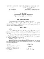 Quyết định số 259 QĐ-TTG - Về việc thay đổi Chủ tịch Hội đồng quản trị Tập đoàn Công nghiệp Cao su Việt Nam