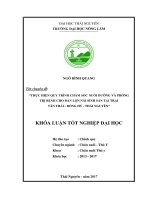 Thực hiện quy trình chăm sóc, nuôi dưỡng và phòng trị bệnh cho đàn lợn nái sinh sản tại trại tân thái   đồng hỷ   thái nguyên 