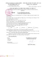 CBTT BCTC hop nhat quy II 2017