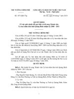 Quyết định số 1071 QĐ-TTG - Về việc phê chuẩn kết quả bầu cử bổ sung Thành viên Ủy ban nhân dân tỉnh Quảng Bình nhiệm kỳ 2004 - 2011