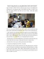 tphcm huong dan ho so truy dong bhxh bhyt bhtn bhtnld bnn