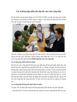 cac truong hop mien phi cap the can cuoc cong dan