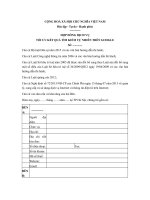 mau hop dong dich vu seo