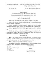 Quyết định số 313 QĐ-TTG - Về việc phê chuẩn kết quả bầu cử bổ sung Thành viên Ủy ban nhân dân tỉnh Tiền Giang nhiệm kỳ 2004 - 2011