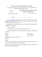 Mau Cong van dang ky Noi quy lao dong