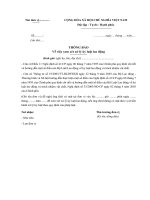 thong bao ve viec xem xet xu ly ky luat lao dong