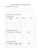 ke hoach tong hop nhan su hang nam cua cong ty