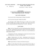 Quyết định số 395 QĐ-TTG - Về việc đổi tên Trường Đại học Bán công Marketing thành Trường Đại học Tài chính - Marketing