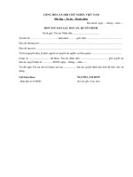 don xin sao luc ban an quyet dinh