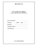 mau so yeu ly lich tu khai