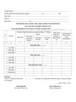mau bao cao tinh hinh tien luong thu nhap cua nguoi lao dong