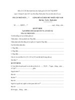 mau so 42 ds quyet dinh tam dinh chi giai quyet vu an dan su danh cho hoi dong xet xu