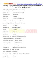 tu vung ngu phap tieng anh lop 9 chuong trinh moi unit 12 my future career