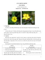 Thực Vật Dược 2 - Biophavn - chuyên trang tài liệu Dược Mo ta mot so cay