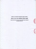 2017 08 16 AMECC Báo cáo tài chính tổng hợp bán niên 2017