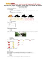 de thi thu vao lop 6 truong thpt chuyen tran dai nghia tp ho chi minh nam 2016 so 2