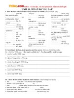bai tap tieng anh lop 6 unit 11 what do you eat co dap an