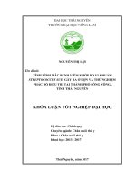 Tình hình mắc bệnh viêm khớp do vi khuẩn Streptococcus suis gây ra ở lợn và thử nghiệm phác đồ điều trị tại thành phố Sông Công  tỉnh Thái Nguyên.