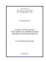 Vai trò của Tòa án nhân dân trong phòng ngừa tình hình tội phạm trên địa bàn thành phố Hồ Chí Minh