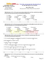 de thi thu thpt quoc gia nam 2017 mon tieng anh truong thpt cam nhan yen bai co dap an 4