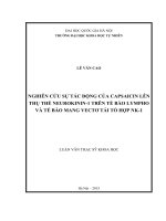 Nghiên cứu sự tác động của capsaicin lên thụ thể neurokinin 1 trên tế bào lympho và tế bào mang vectơ tái tổ hợp NK 1