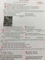 Thực Vật Dược 2 - Biophavn - chuyên trang tài liệu Dược de 2016 lan1