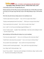 ngu phap tieng anh lop 6 unit 11 what do you eat