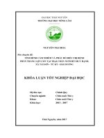 Tình hình cảm nhiễm và phác đồ điều trị bệnh phân trắng lợn con tại trại chăn nuôi bùi huy hạnh, xã tái sơn   huyện tứ kỳ   tỉnh hải dương  