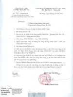 IDS-11.3-BCTC kiem toan VP Cong ty 2016-CJC (nhấn để )