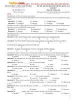 de thi thu thpt quoc gia nam 2017 mon tieng anh truong thpt dan toc noi tru yen bai co dap an 1