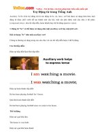 tro dong tu trong tieng anh