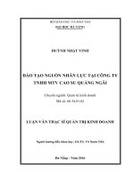 Đào tạo nguồn nhân lực tại Công ty TNHH MTV cao su Quảng Ngãi