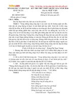 de thi thu thpt quoc gia 2016 mon van tinh binh thuan