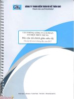 eec1a5e5 cjc bao cao tai chinh kiem toan ban nien 2017 vp cty