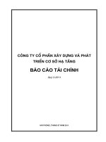 Báo cáo tài chính Quý 2 cid bctc quy2 2011