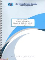 8e6cd92e cjc bao cao tai chinh kiem toan ban nien 2017