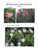 [FILE GOC] THUC HANH THUC VAT