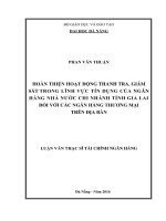 Hoàn thiện hoạt động thanh tra giám sát trong lĩnh vực tín dụng của ngân hàng nhà nước chi nhánh Tỉnh Gia Lai đối với các ngân hàng thương mại trên địa bàn